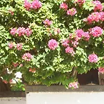 Casa La Tahonilla דירה