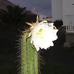 Casa La Tahonilla דירה *