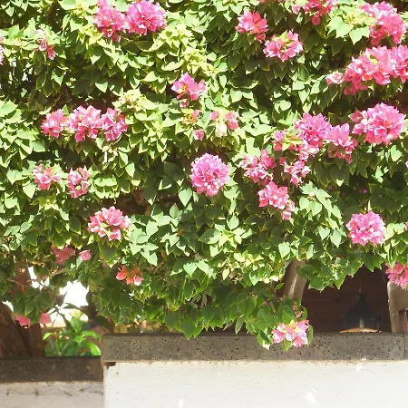 Casa La Tahonilla Apartamento