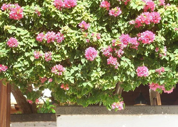 Casa La Tahonilla Lejlighed