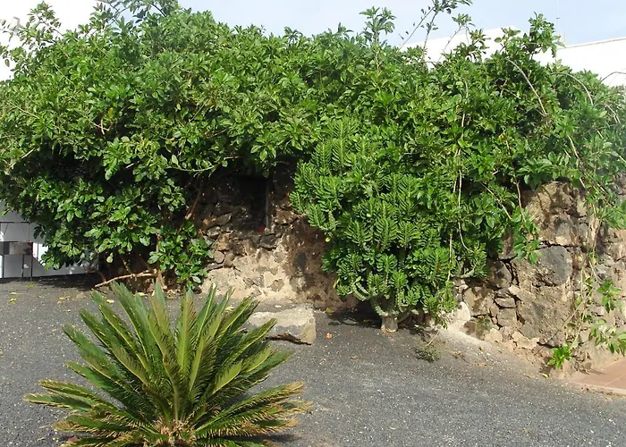 Lejlighed Casa La Tahonilla Tías