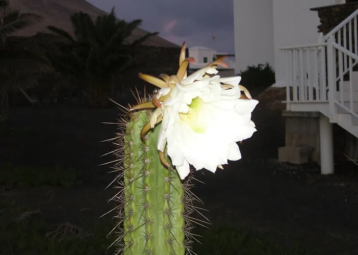 Casa La Tahonilla Lejlighed *