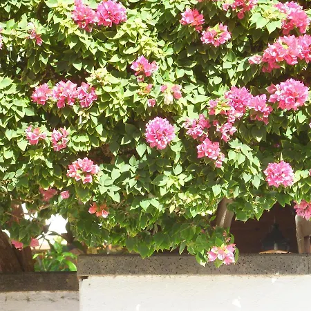 Casa La Tahonilla Apartman